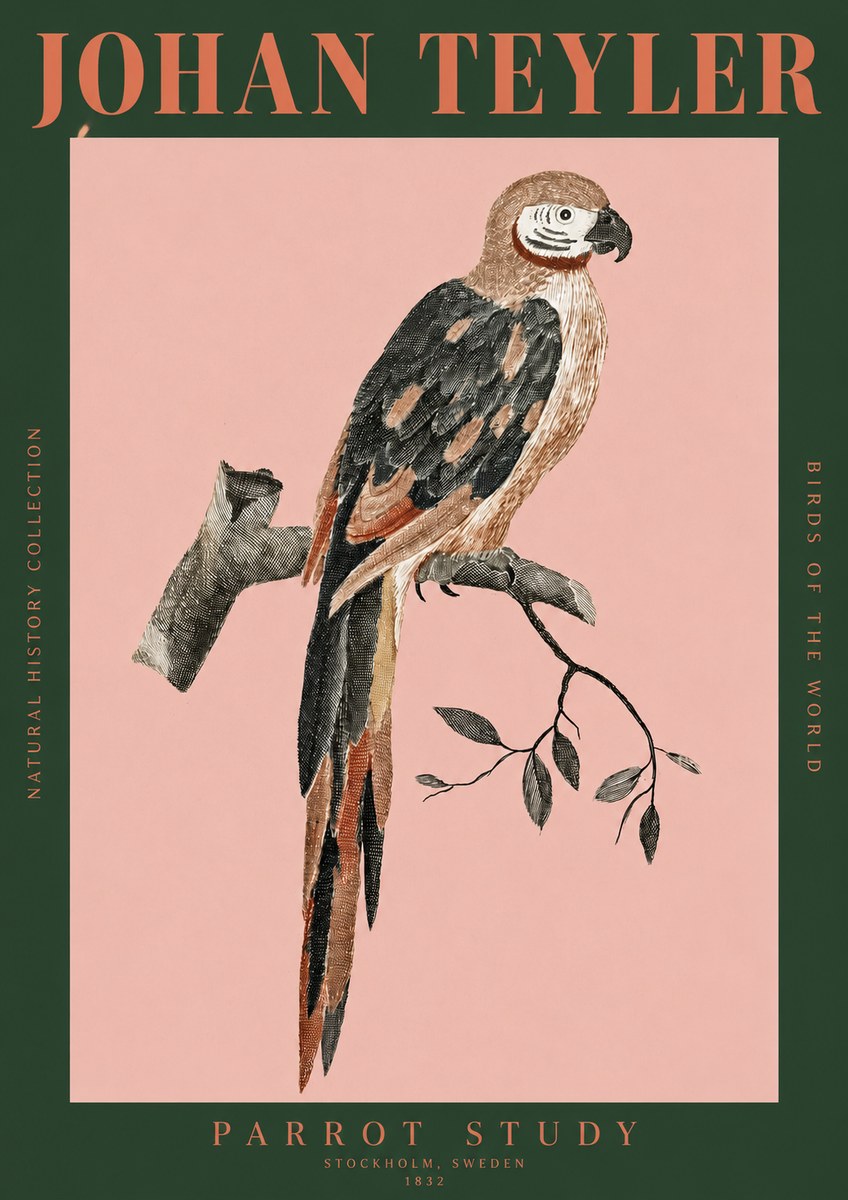 Johan Teyler Parrot Study I No2 - Póster