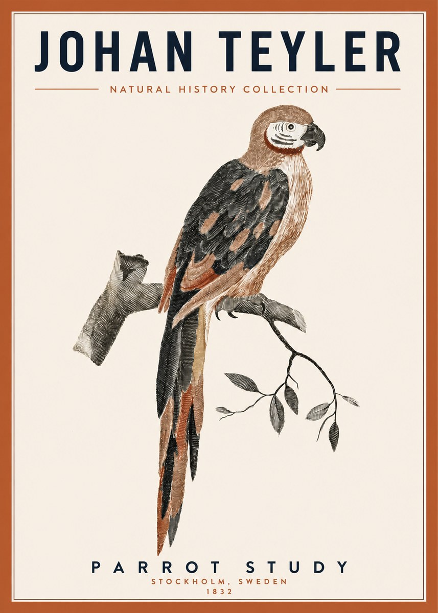 Johan Teyler Parrot Study I No3 - Póster