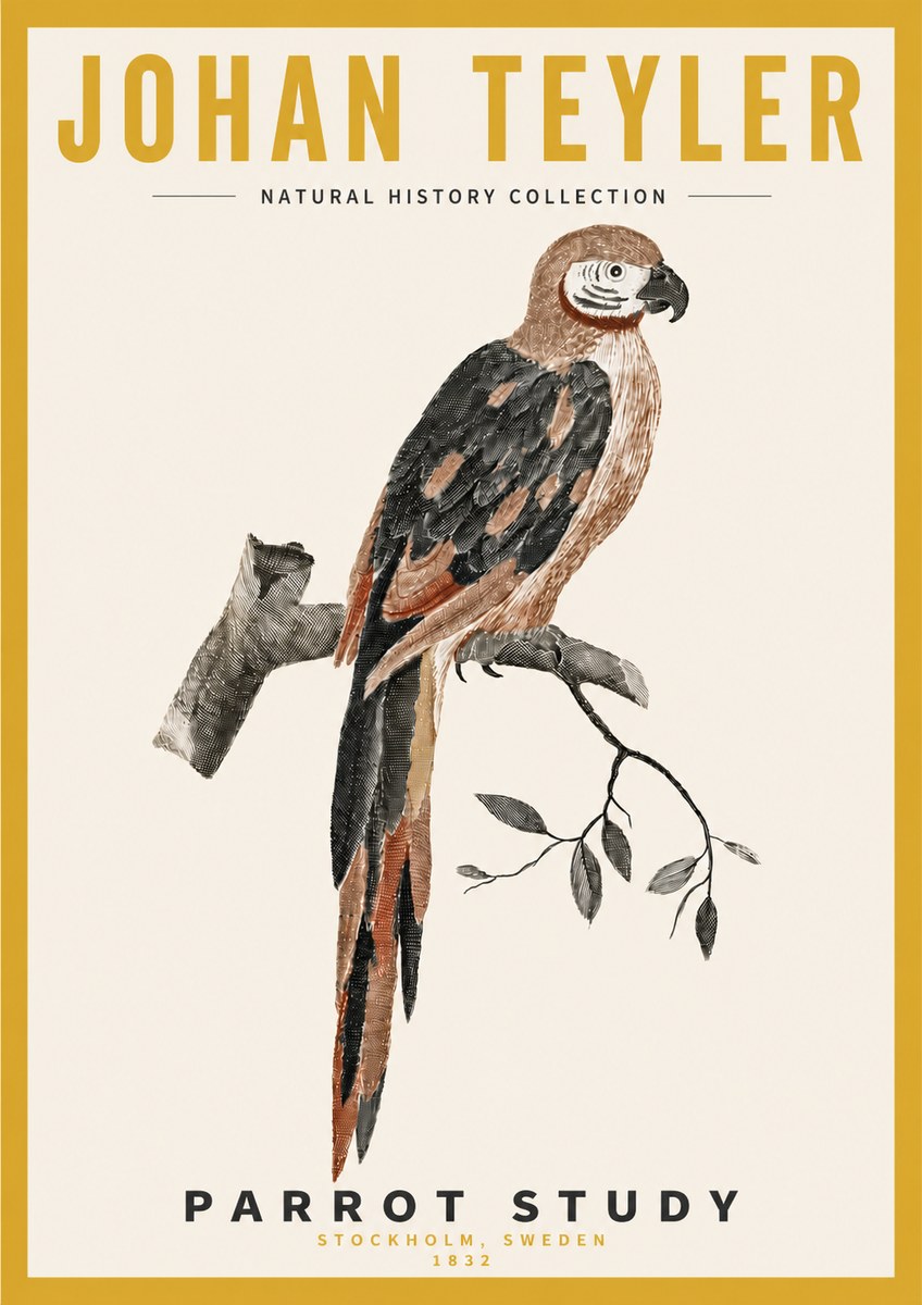 Johan Teyler Parrot Study I No4 - Póster
