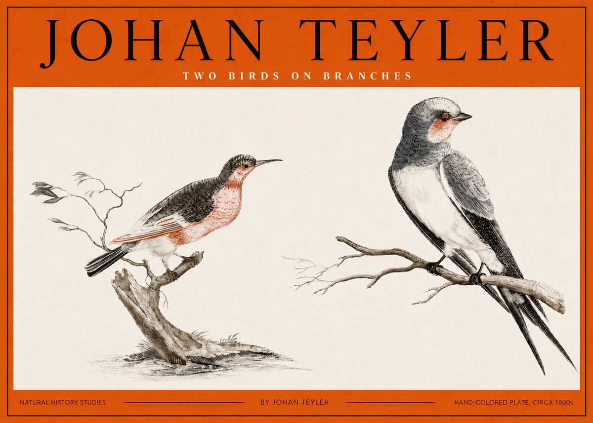 Johan Teyler Two Birds on Branches No2 - Póster