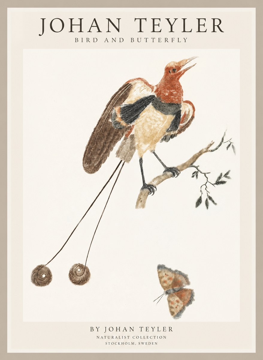 Johan Teyler Bird and Butterfly No1 - Póster