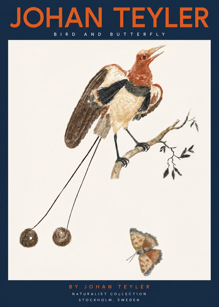Johan Teyler Bird and Butterfly No2 - Póster