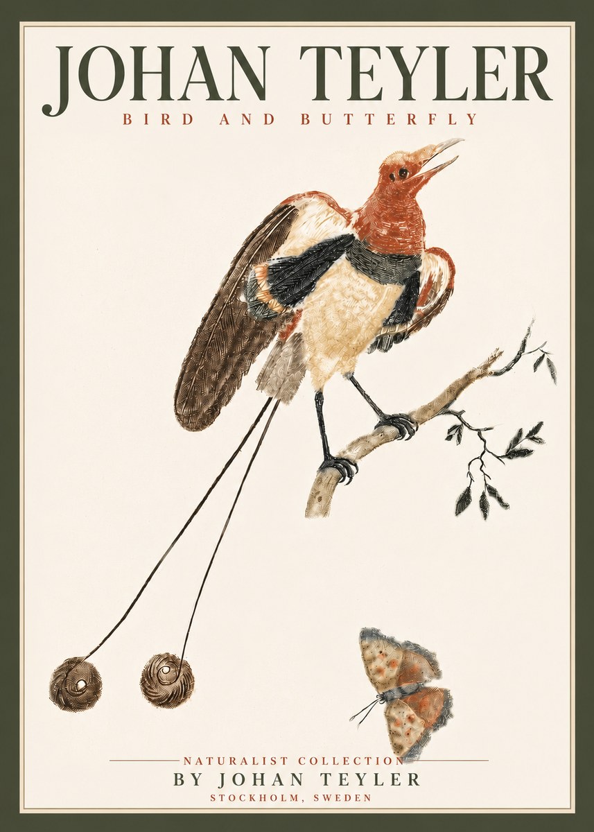 Johan Teyler Bird and Butterfly No4 - Póster