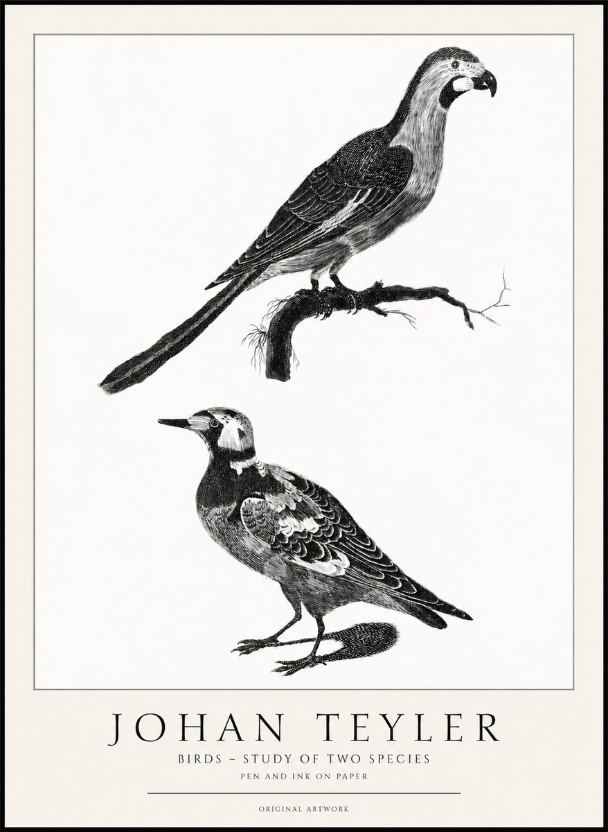 Johan Teyler Birds - Study of Two Species No1 - Póster