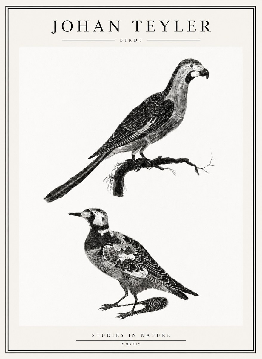 Johan Teyler Birds - Study of Two Species No2 - Póster