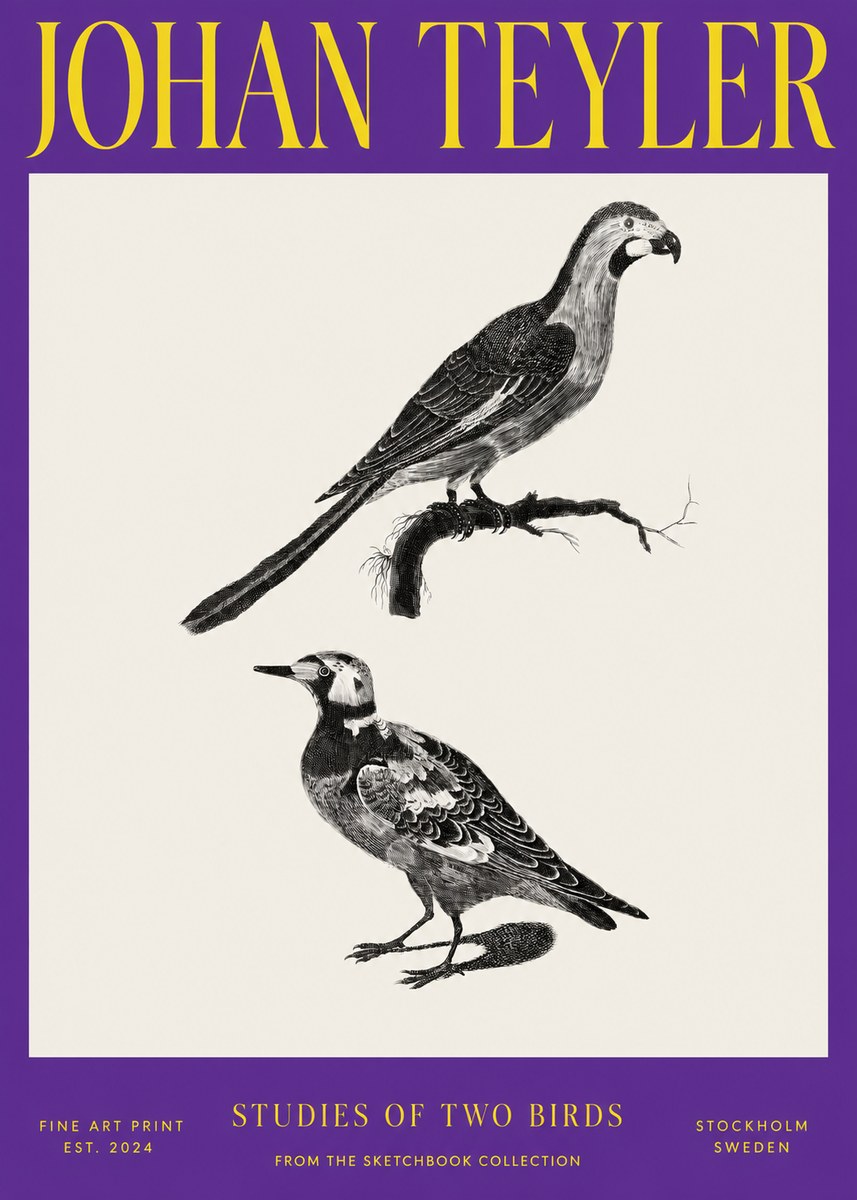 Johan Teyler Birds - Study of Two Species No4 - Póster