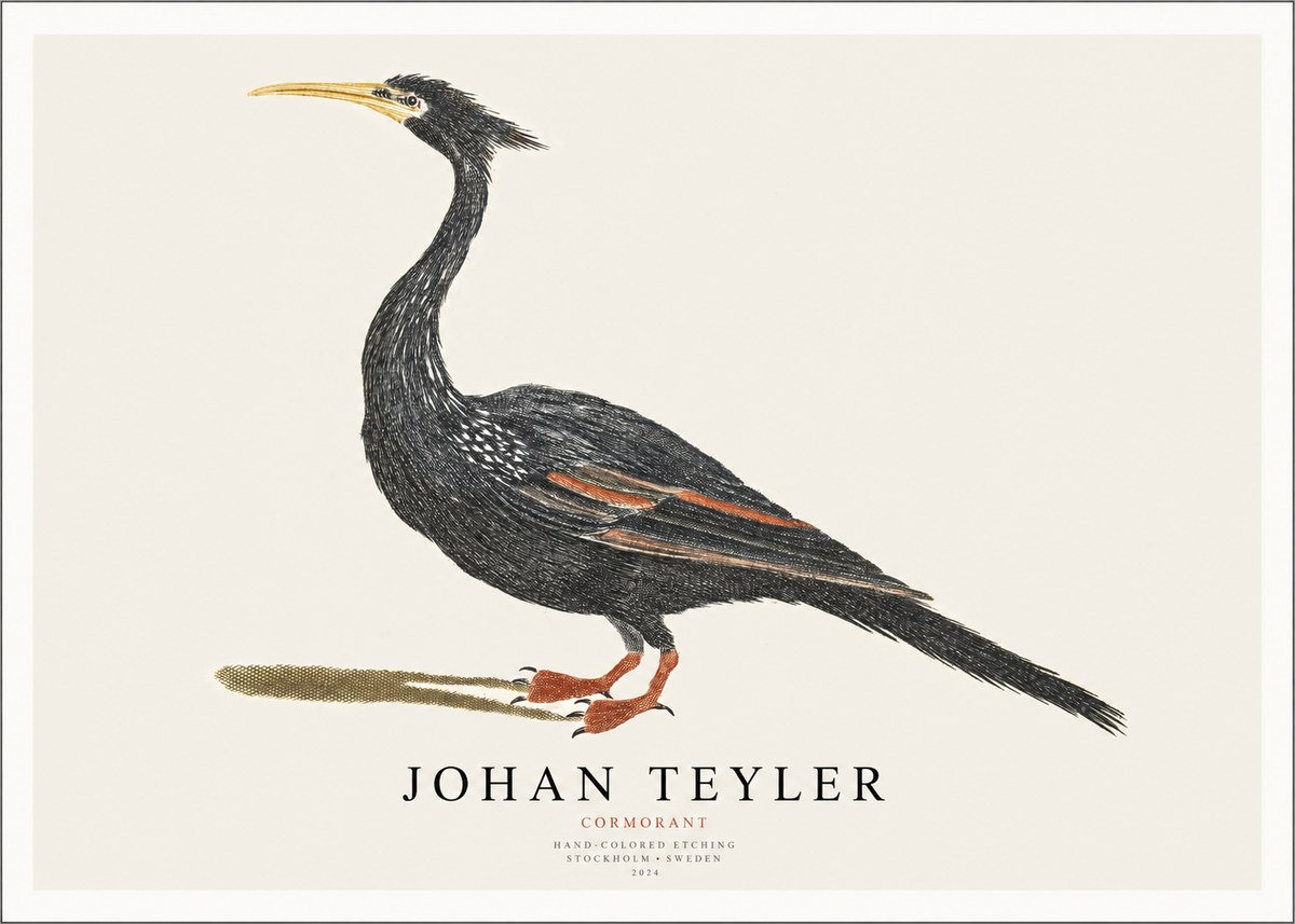 Johan Teyler Cormorant No1 - Póster