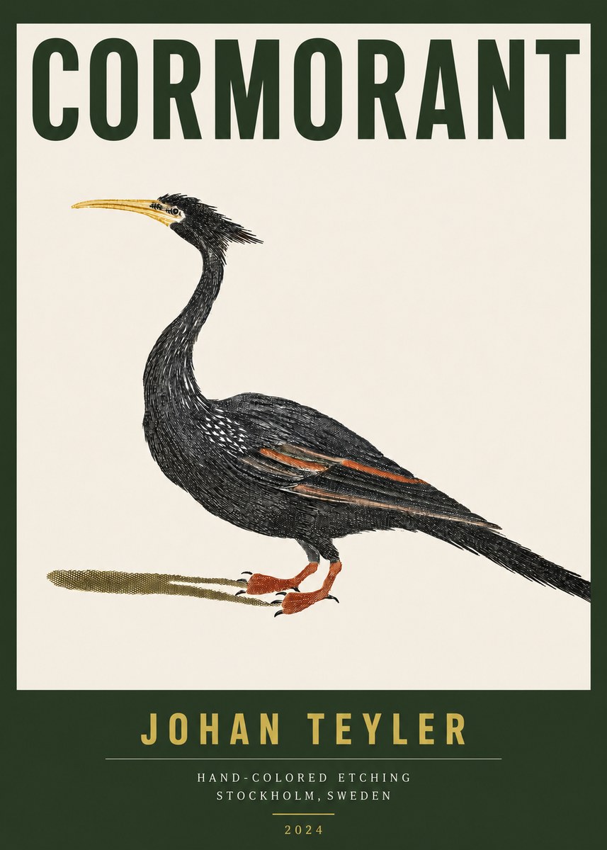 Johan Teyler Cormorant No3 - Póster
