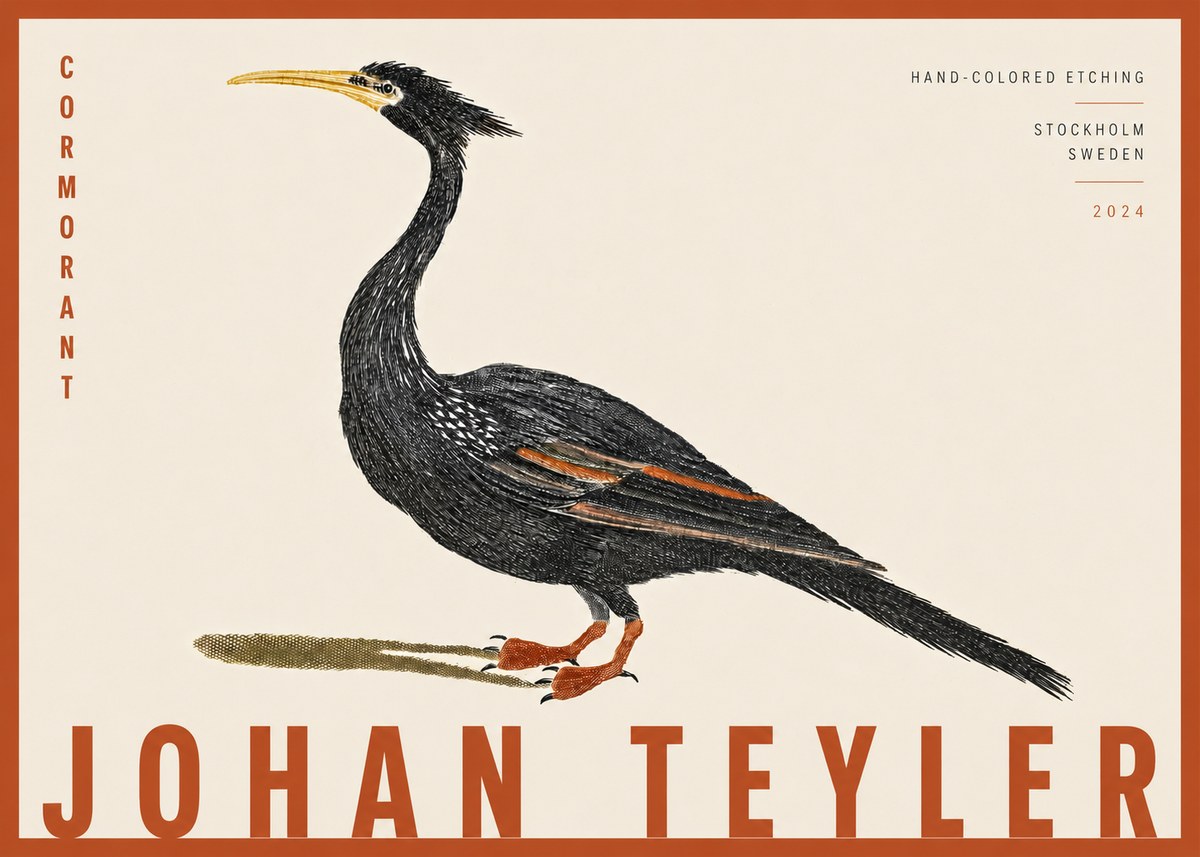 Johan Teyler Cormorant No4 - Póster
