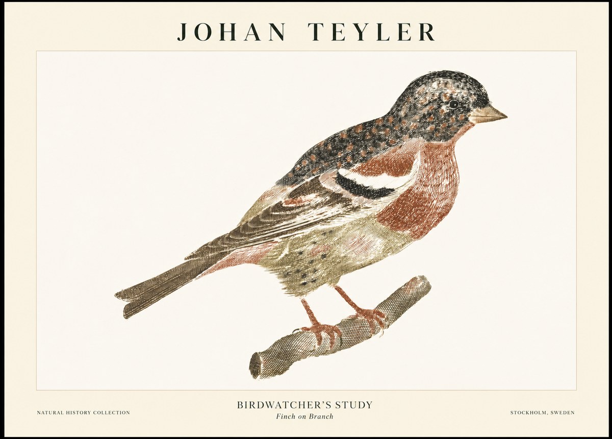 Johan Teyler Finch on Branch No1 - Póster