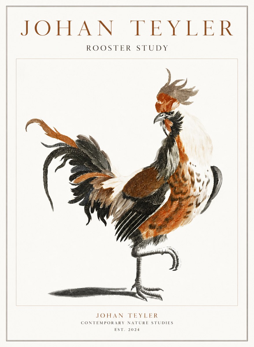 Johan Teyler Rooster Study No1 - Póster
