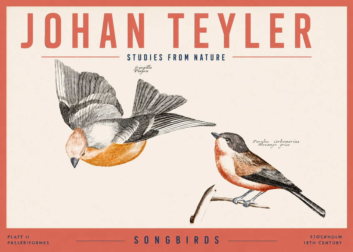 Johan Teyler Songbirds - Plate Ii No3 - Póster