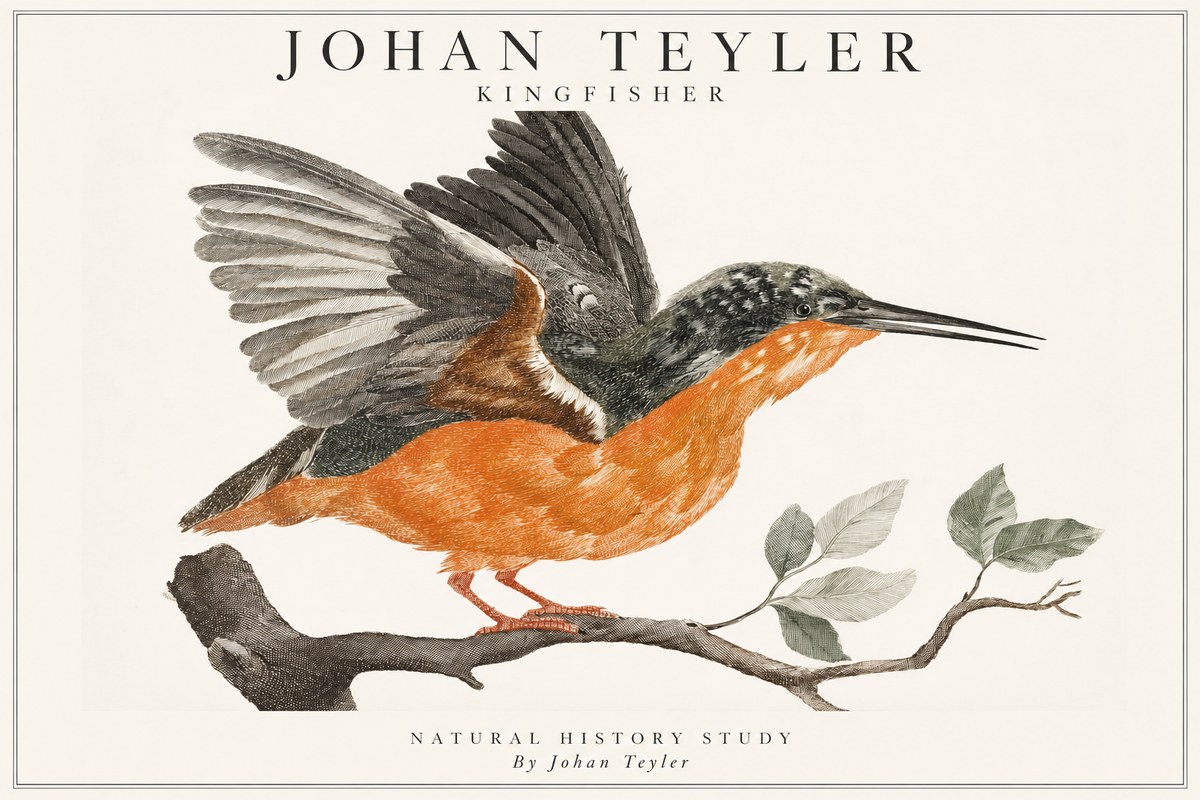Johan Teyler Kingfisher No1 - Póster