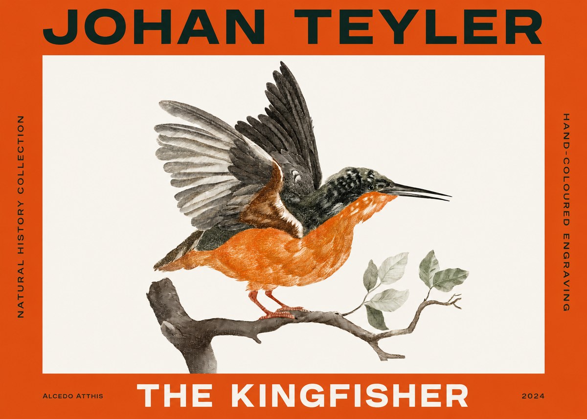 Johan Teyler Kingfisher No4 - Póster