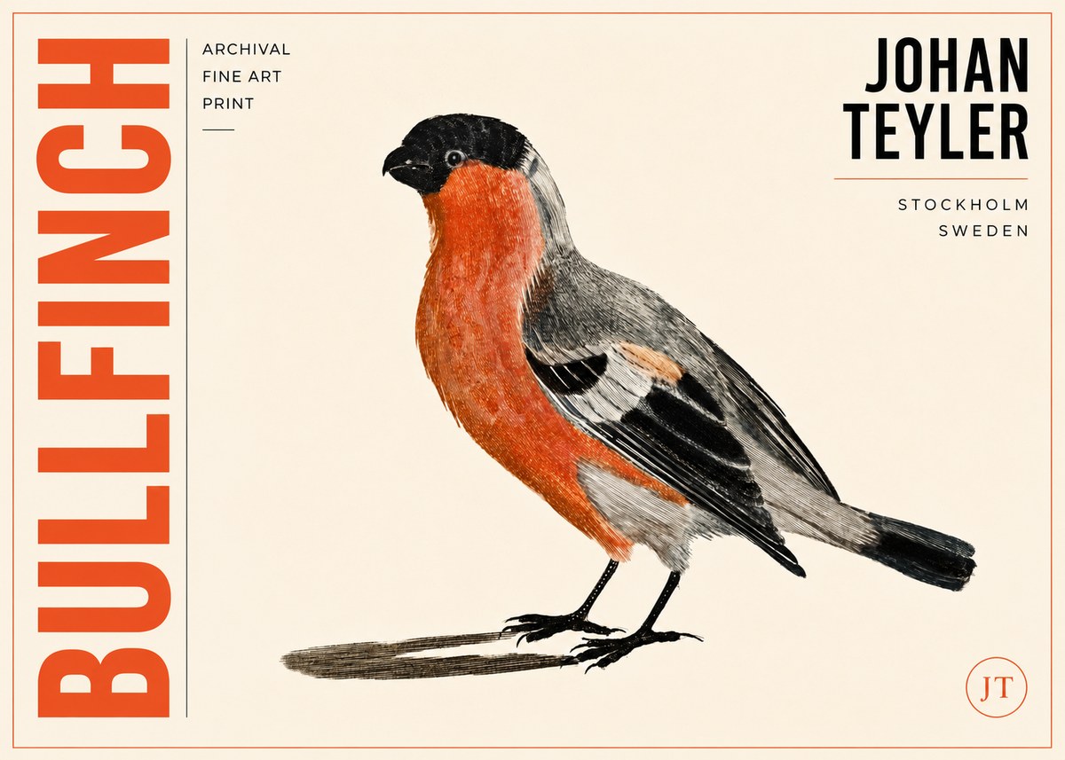 Johan Teyler Bullfinch No3 - Póster