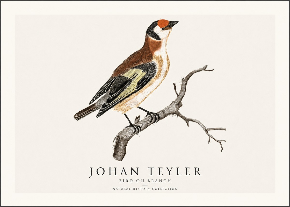Johan Teyler Song of the Finch No2 - Póster