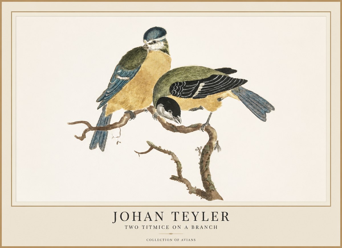Johan Teyler Two Titmice on a Branch No1 - Póster