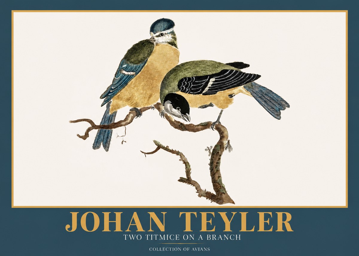 Johan Teyler Two Titmice on a Branch No2 - Póster