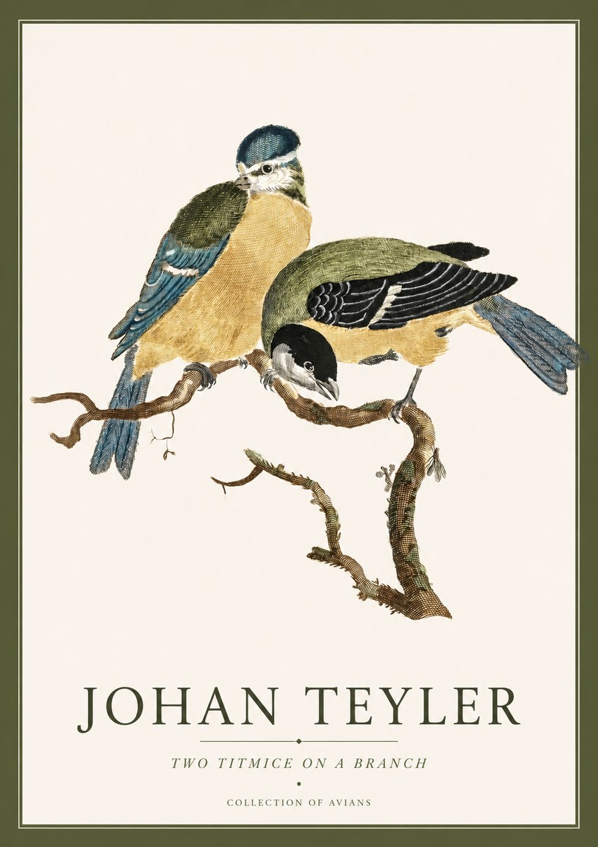 Johan Teyler Two Titmice on a Branch No4 - Póster