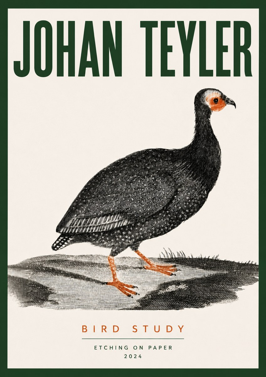 Johan Teyler Bird Study III No3 - Póster