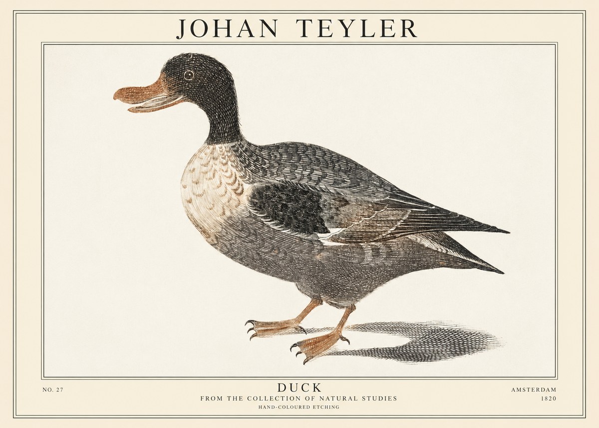 Johan Teyler Duck I No1 - Póster