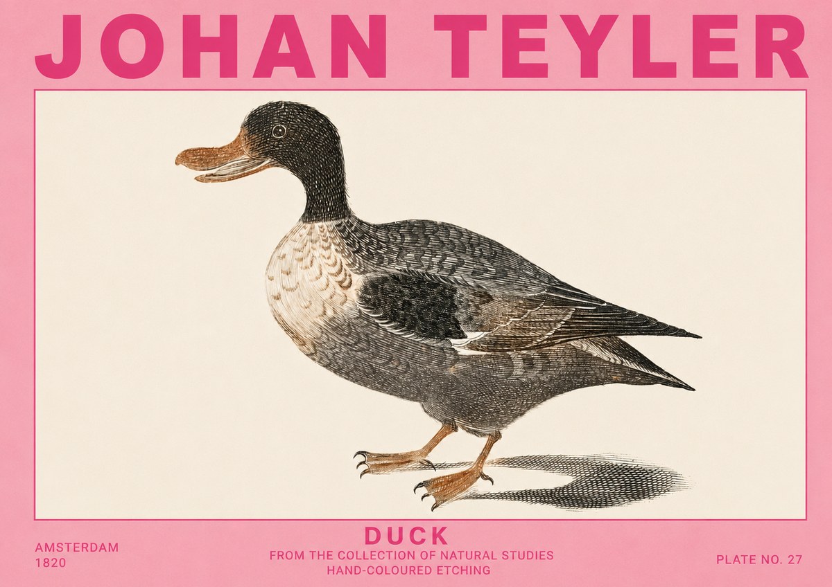 Johan Teyler Duck I No5 - Póster