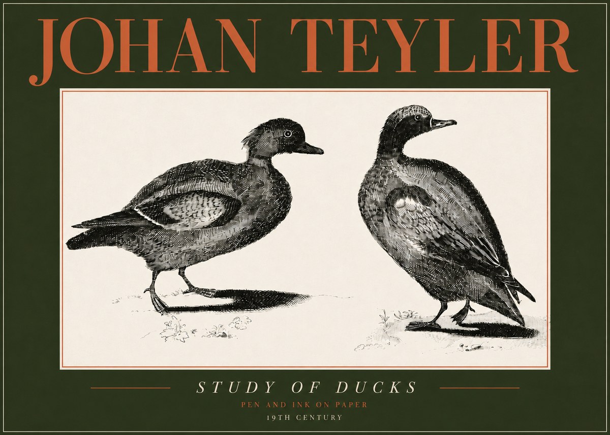 Johan Teyler Study of Ducks No4 - Póster