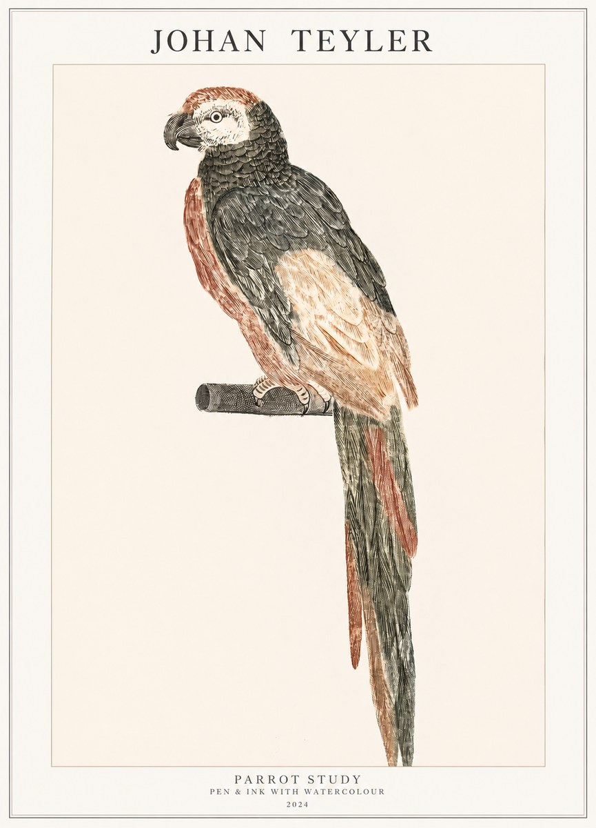 Johan Teyler Parrot Study II No1 - Póster