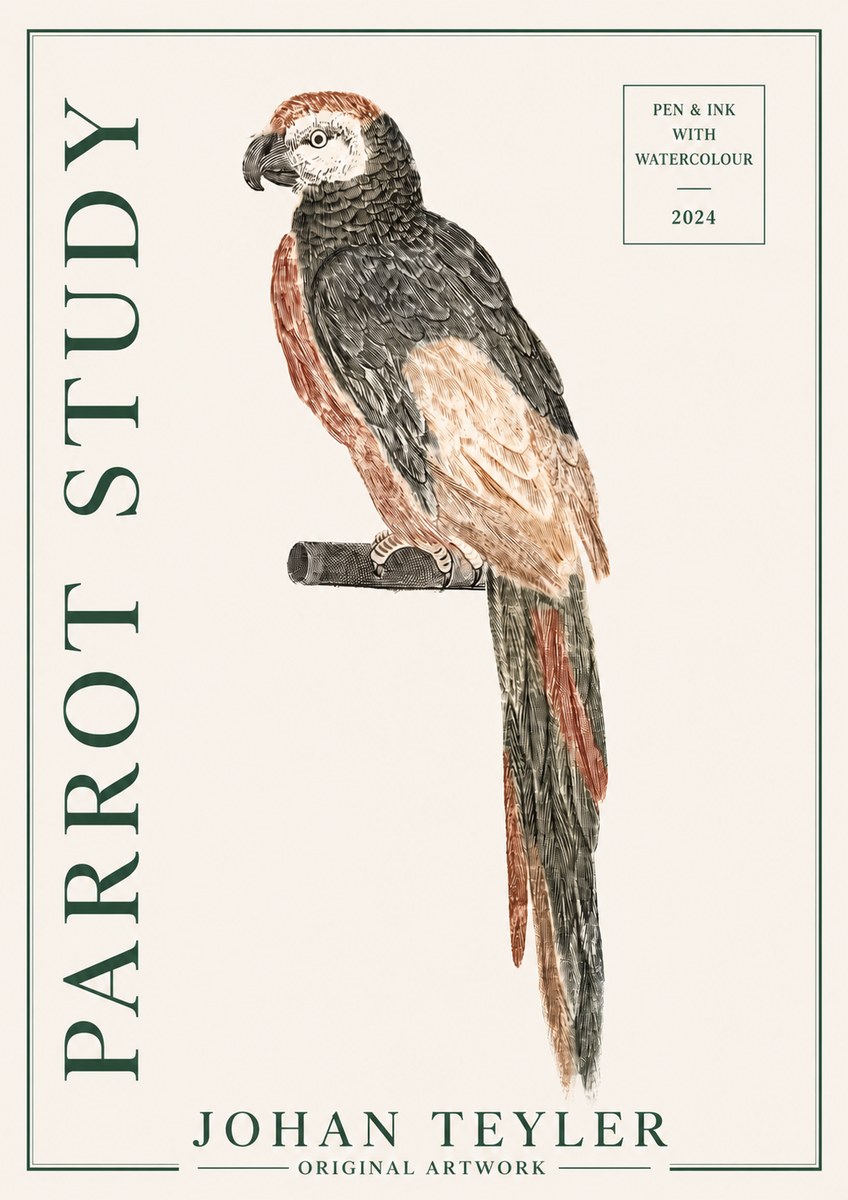 Johan Teyler Parrot Study II No3 - Póster