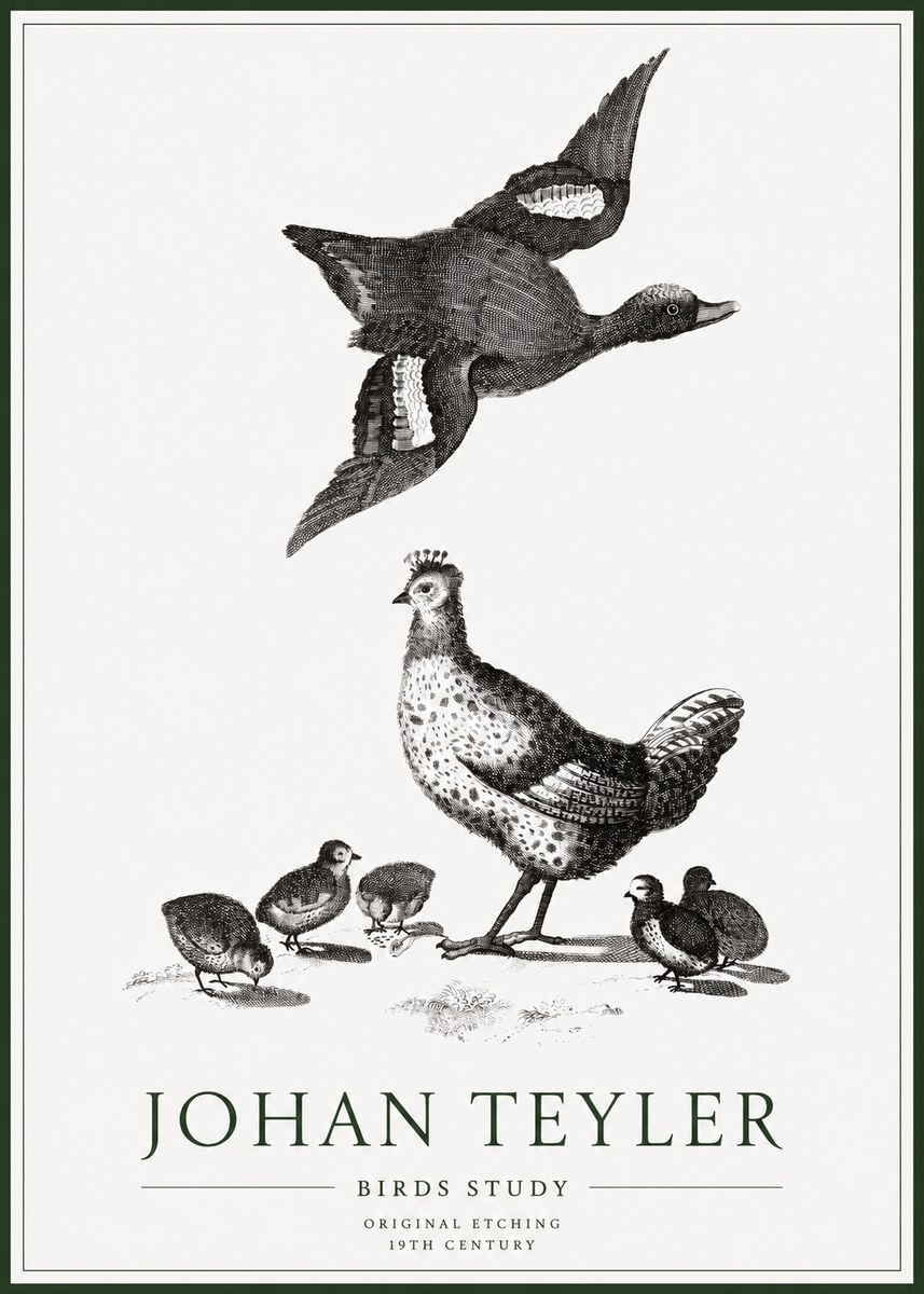 Johan Teyler Birds Study No1 - Póster
