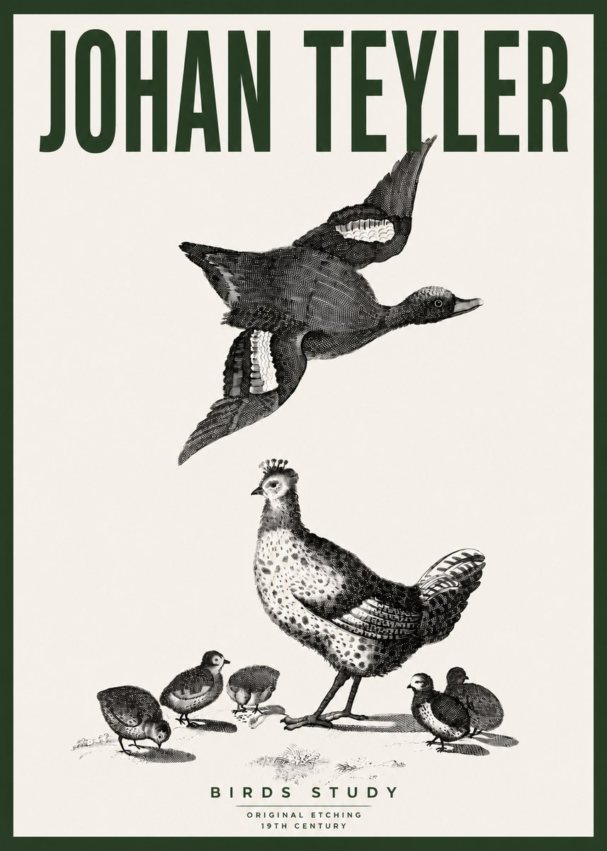 Johan Teyler Birds Study No4 - Póster