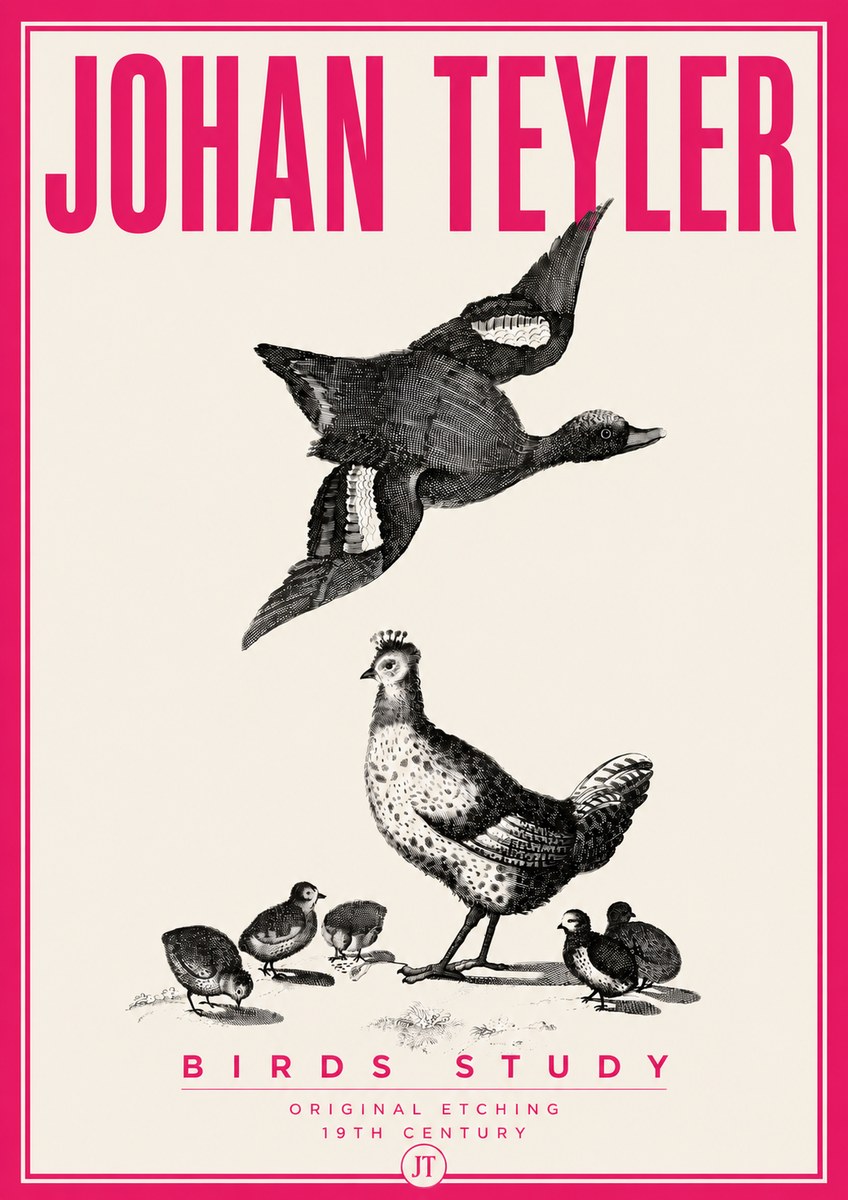 Johan Teyler Birds Study No6 - Póster