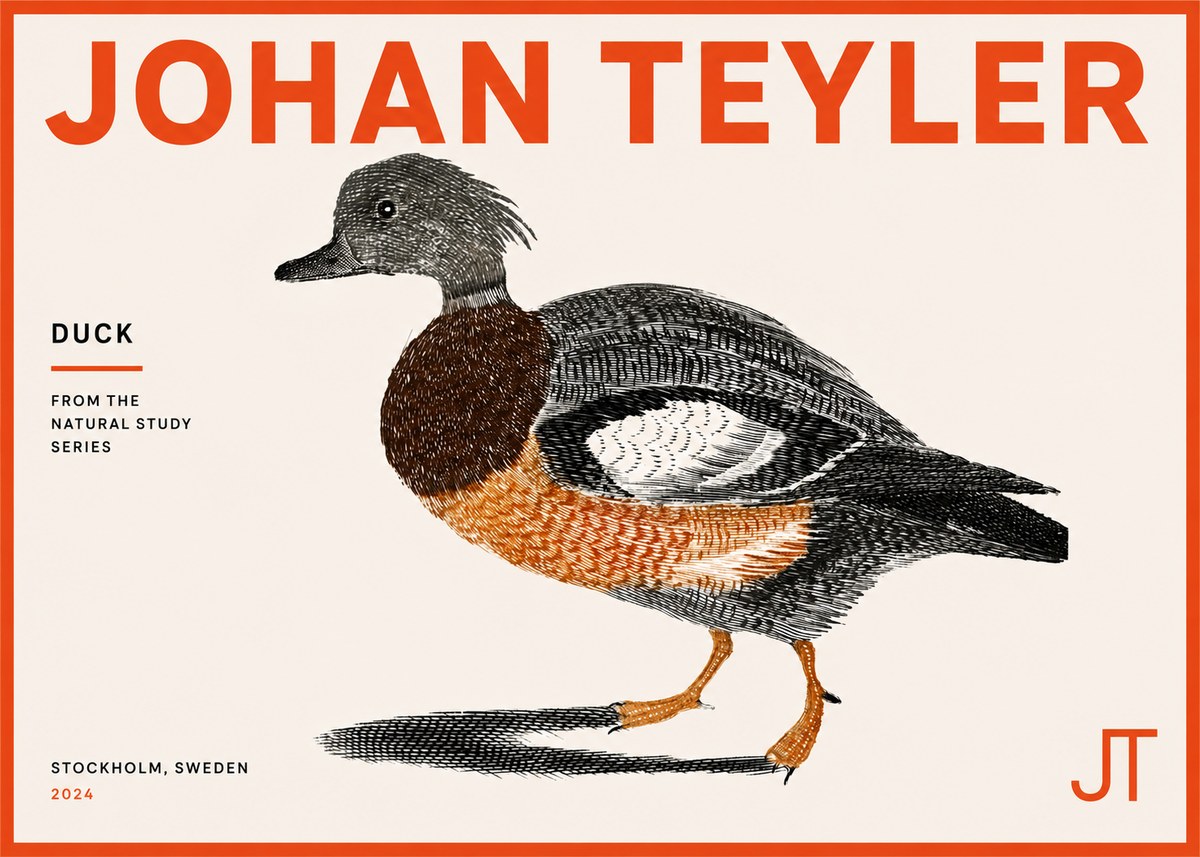 Johan Teyler Duck II No5 - Póster