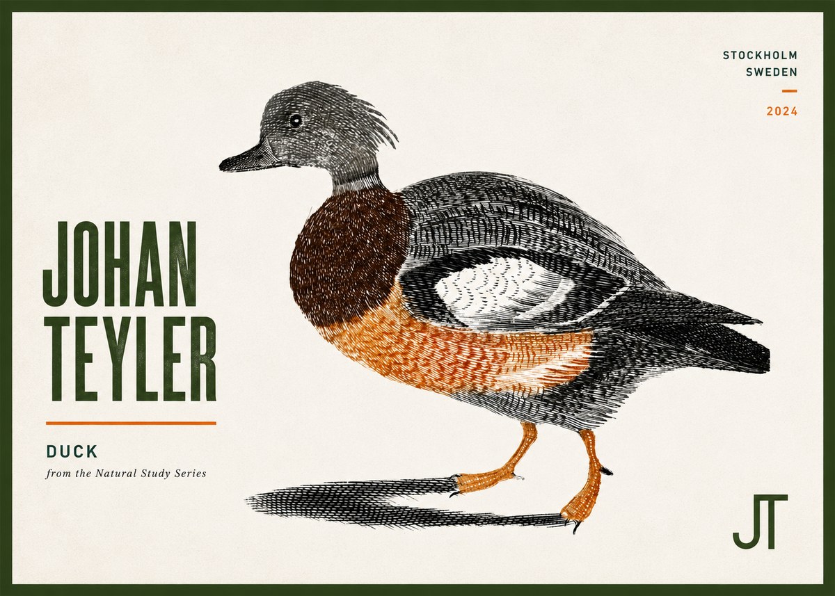 Johan Teyler Duck II No6 - Póster