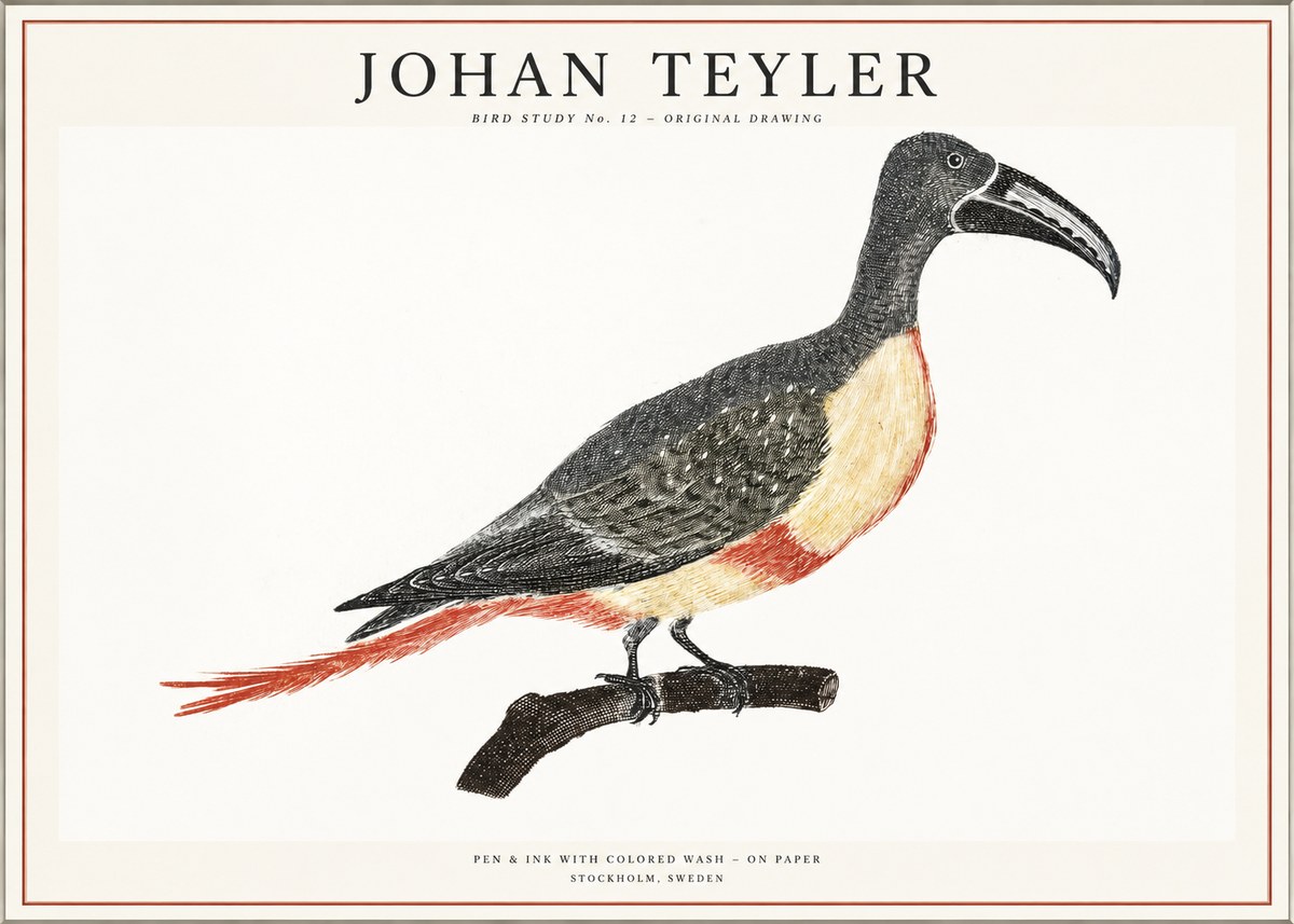 Johan Teyler Bird Study No. 12 - Original Drawing No1 - Póster