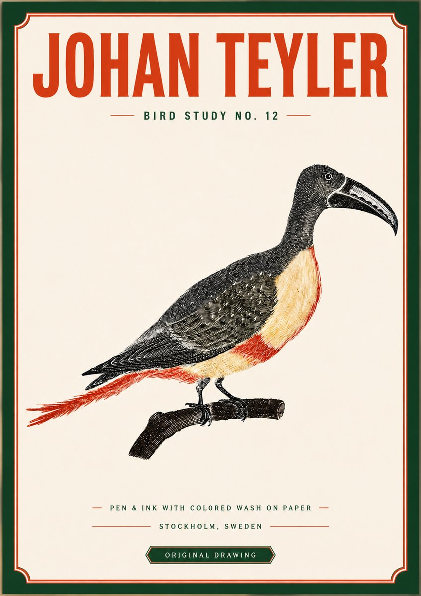 Johan Teyler Bird Study No. 12 - Original Drawing No3 - Póster