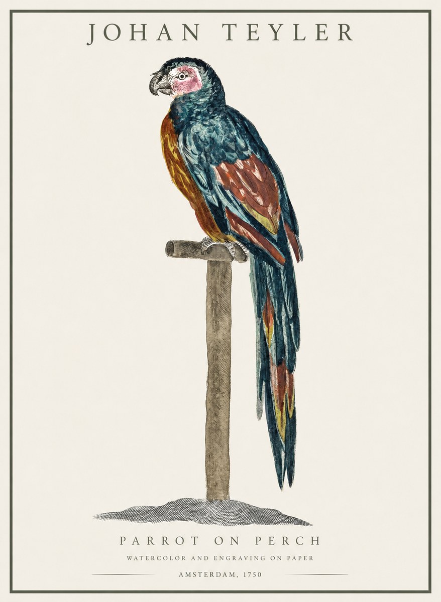 Johan Teyler Parrot on Perch No1 - Póster