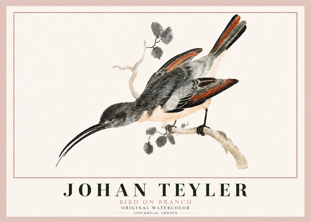 Johan Teyler Bird on Branch II No3 - Póster