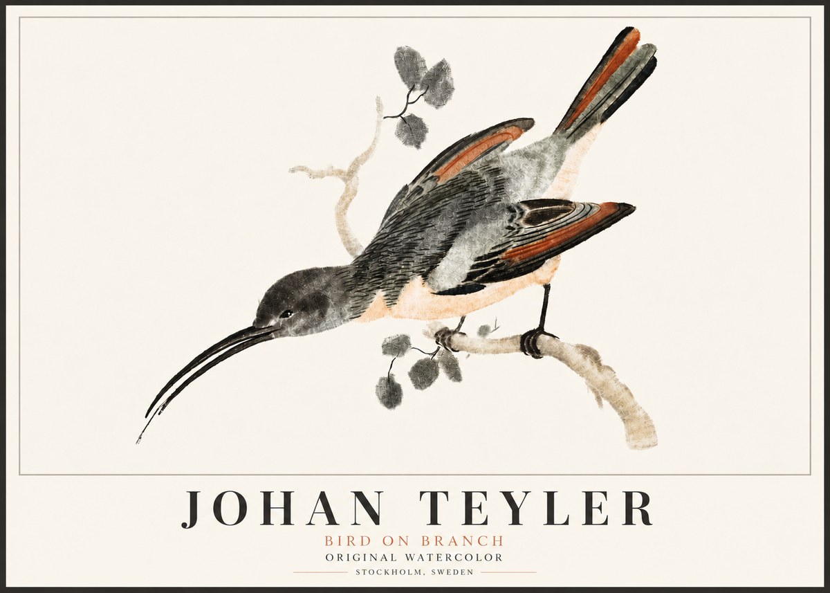 Johan Teyler Bird on Branch II No5 - Póster