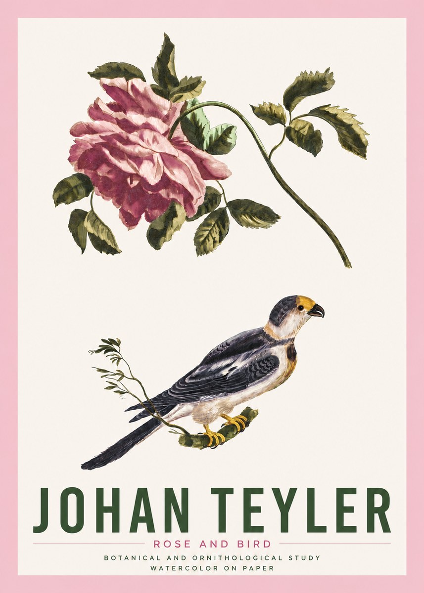 Johan Teyler Rose and Bird I No4 - Póster