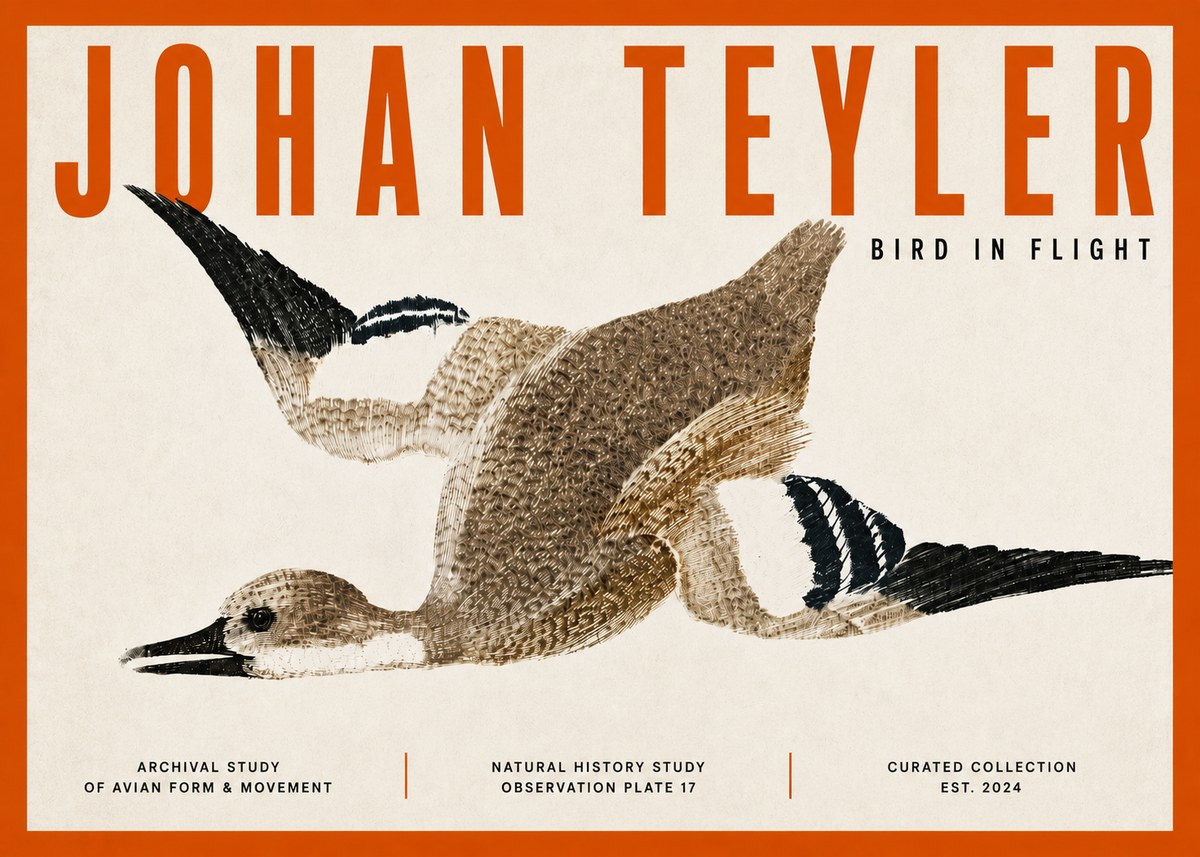 Johan Teyler Bird in Flight II No5 - Póster