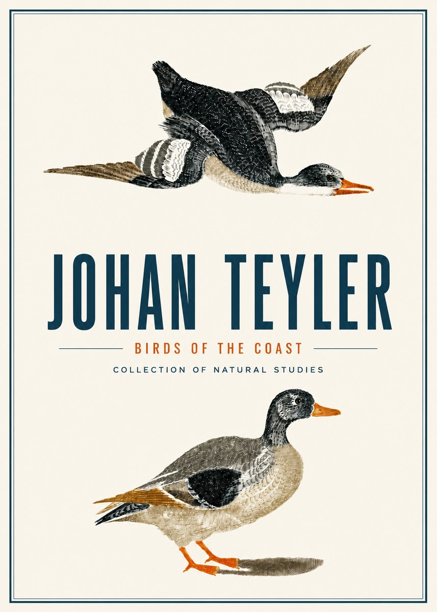 Johan Teyler Birds of the Coast No4 - Póster