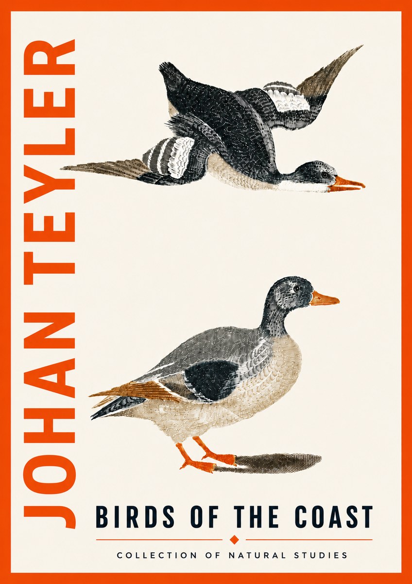 Johan Teyler Birds of the Coast No5 - Póster