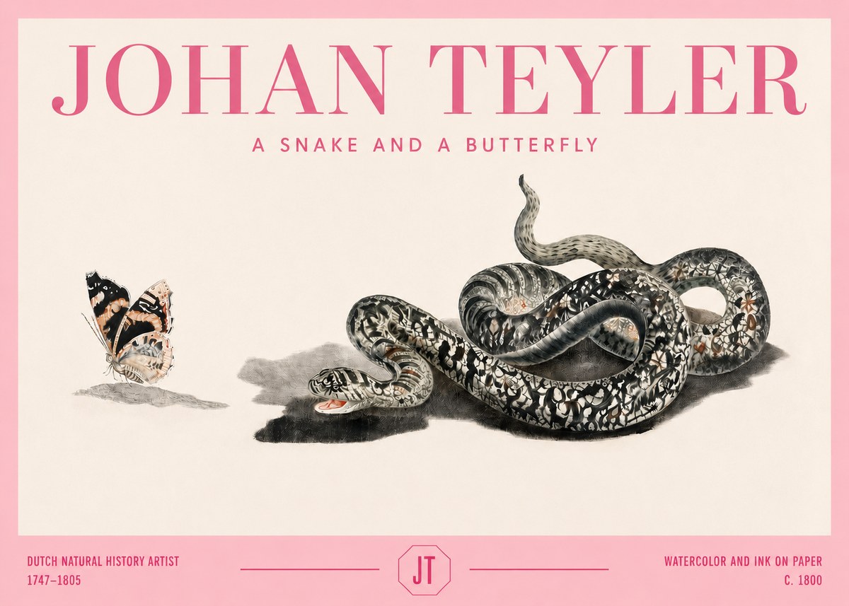 Johan Teyler Snake and Butterfly No4 - Póster