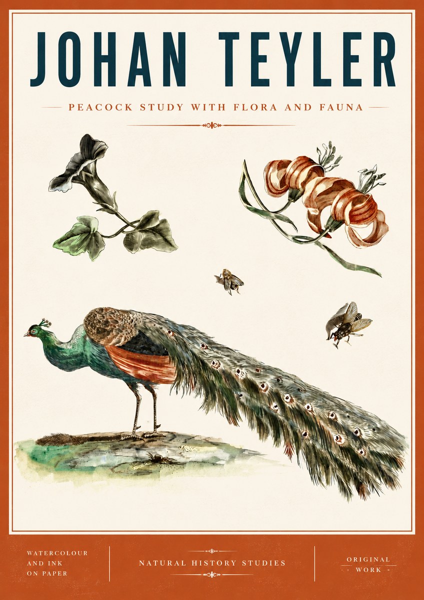 Johan Teyler Peacock Study with Flora and Fauna No6 - Póster