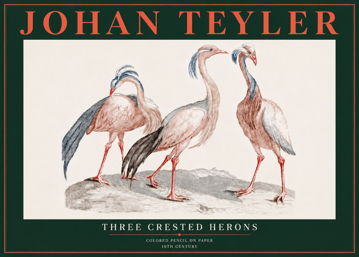 Johan Teyler Three Crested Herons No5 - Póster