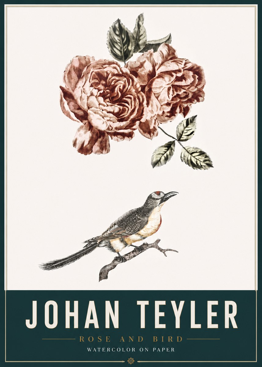 Johan Teyler Rose and Bird II No3 - Póster