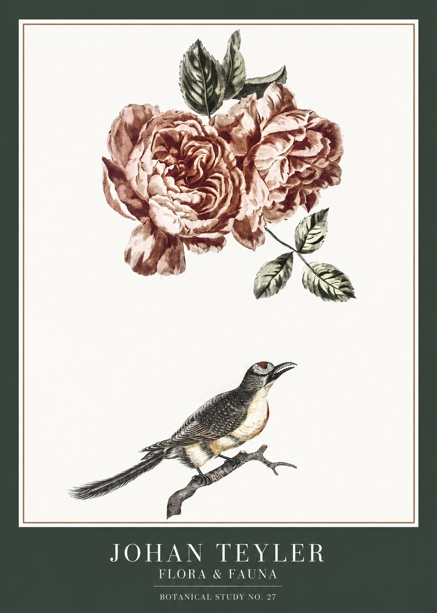 Johan Teyler Rose and Bird II No6 - Póster