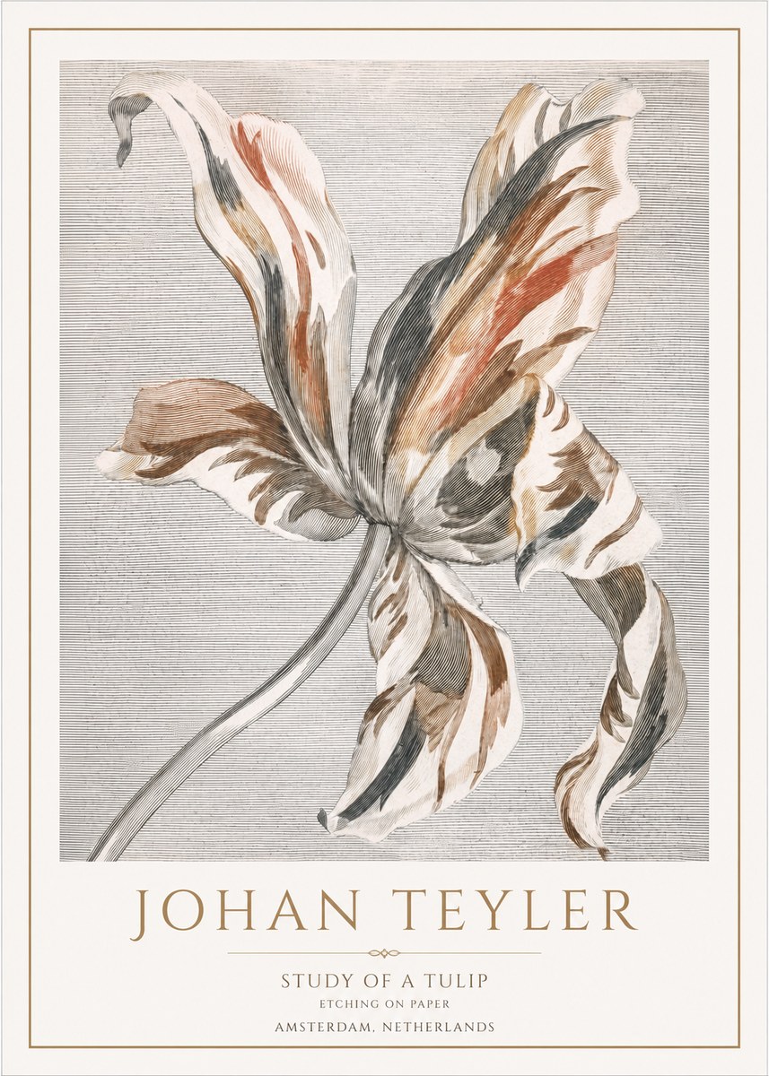 Johan Teyler Study of a Tulip No1 - Póster
