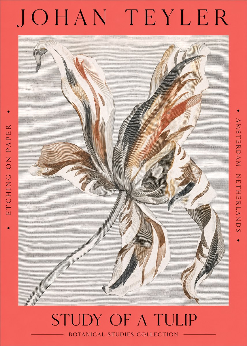 Johan Teyler Study of a Tulip No2 - Póster